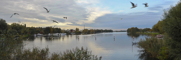 foto: franz goder - im aufwind - havelblick in werder/havel